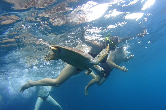 From Phi Phi: Sunrise & Beat The Crowds to Maya Bay by Speedboat - Snorkeling for fish and blacktip reef sharks