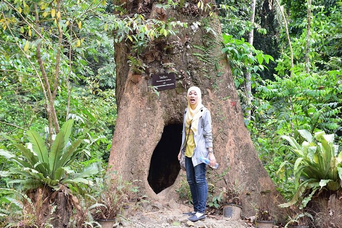 Full-Day Jungle Tour Including Tiger Cave Temple, Crystal Pool and Krabi Hot Springs - Tiger Cave Temple: the day’s great challenge