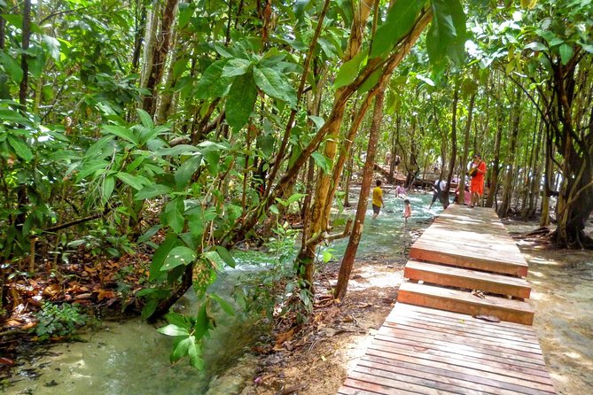 Full-Day Jungle Tour Including Tiger Cave Temple, Crystal Pool and Krabi Hot Springs - Who should book this Krabi jungle trip
