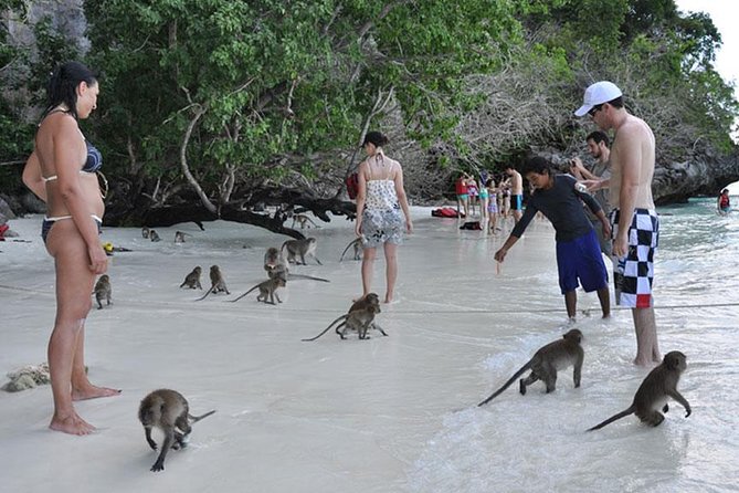 Full Day & Sunset Phi Phi Islands Tour From Phi Phi by Speedboat - Pileh Lagoon, Loh Samah Bay, and Maya Bay