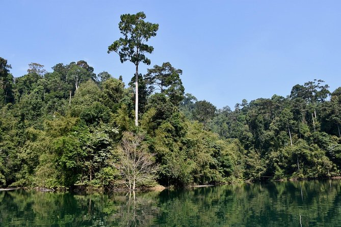 Full-Day Tour to Cheow Lan Lake in Khao Sok National Park from Krabi - The long road from Krabi to Ratchaprapha Dam