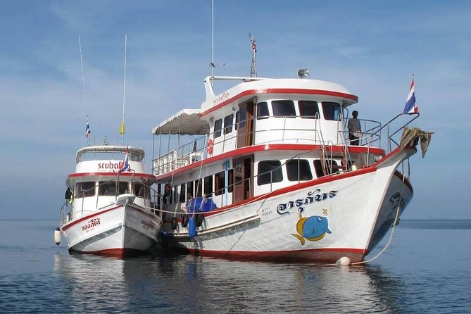 Fun Diving Safari Day Trip From Koh Lanta - Certified Divers - Setting out from Kantiang Bay at 8:00 am