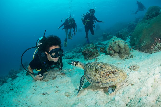 Fun Diving Safari Day Trip From Koh Lanta - Certified Divers - Meals, drinks, and the small comforts