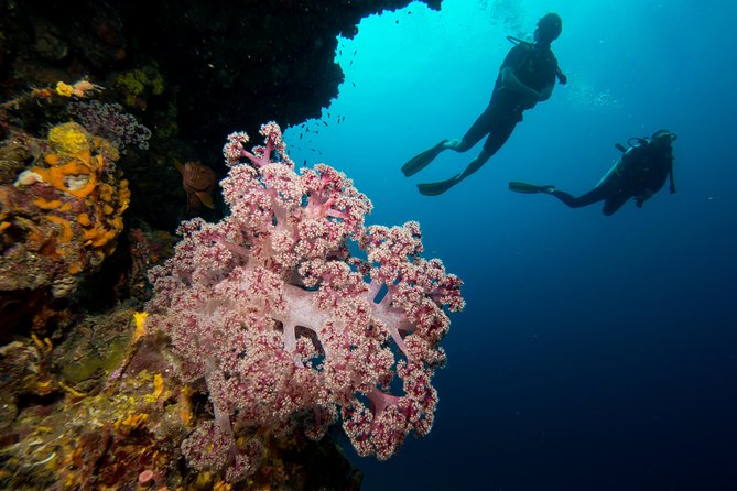 Fun Diving Safari Day Trip From Koh Lanta - Certified Divers - Group size, service, and value at $60