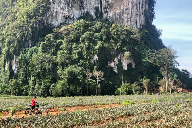 Guided Mountain Biking - Grand Tour - Trails of Ao Nang - Lunch, water, and the practical side of five hours