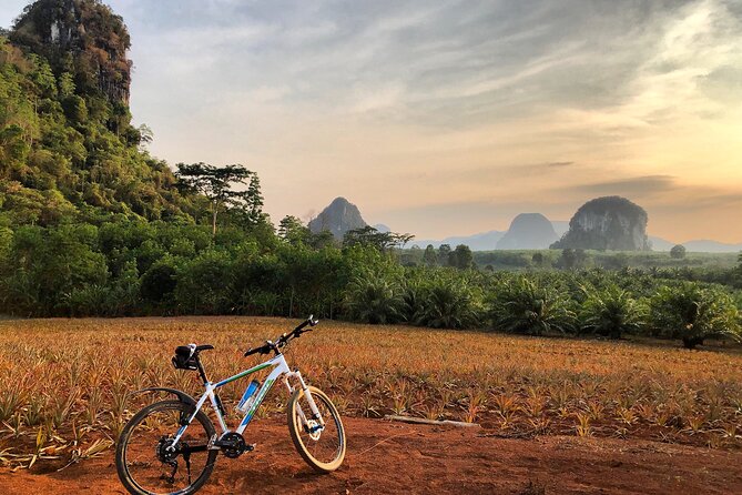 Guided Mountain Biking - Grand Tour - Trails of Ao Nang - How difficult is the ride?