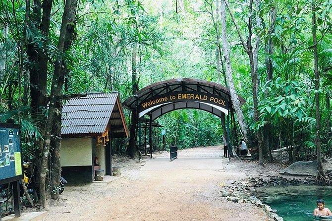 Half Day Jungle Tour to Emerald pool and Krabi Hot Spring - What the $39.25 price really covers