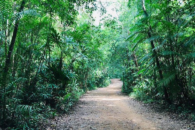 Half Day Jungle Tour to Emerald pool and Krabi Hot Spring - Crowds, weather, and comfort