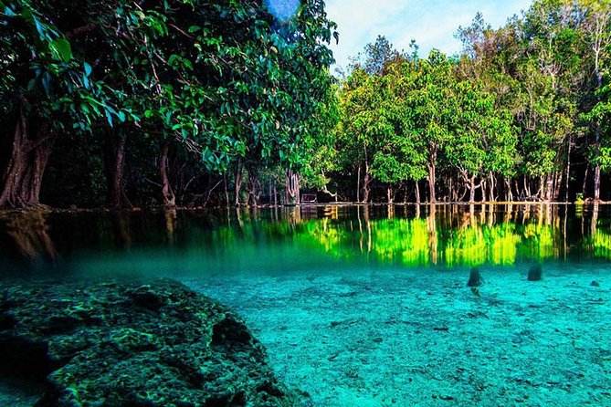 Half Day Jungle Tour to Emerald pool and Krabi Hot Spring - The walk to Emerald Pool