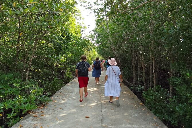 Half Day Mangrove and Lanta Old Town Tour - Thung Yee Pheng Mangrove Forest by boat or kayak