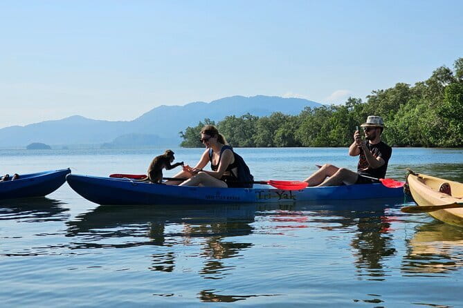 Half Day Mangrove and Lanta Old Town Tour - Is $32.23 good value?