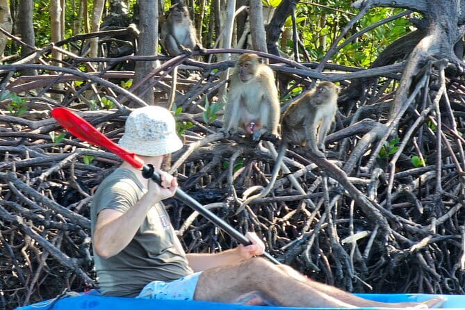 Half Day Mangrove and Lanta Old Town Tour - What the three-hour schedule feels like