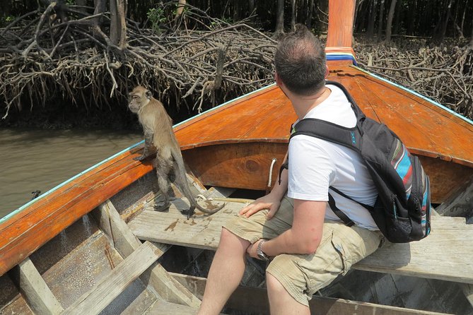 Half day Mangrove by Kayaking or Longtail boat from Koh Lanta - Monkey Point and the close-up macaque encounter