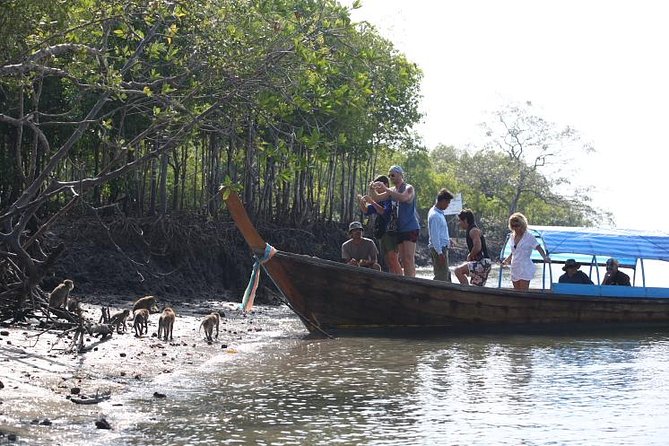 Half day Mangrove by Kayaking or Longtail boat from Koh Lanta - What you get for $24.34