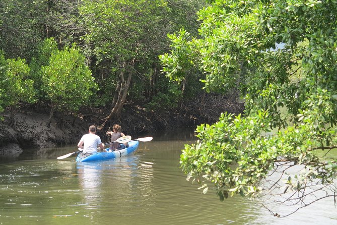 Half day Mangrove by Kayaking or Longtail boat from Koh Lanta - Who will enjoy this outing most