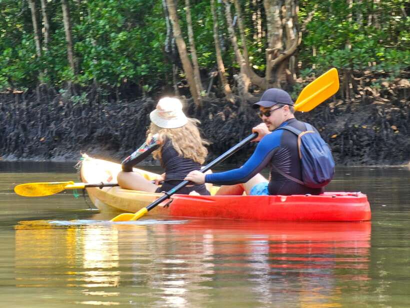 Half Day Mangrove Forest (Morning or Afternoon) - Practical ways to get more from the three hours