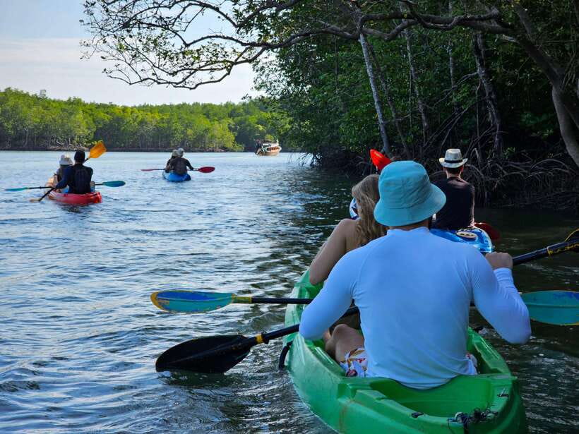 Half Day Mangrove Forest (Morning or Afternoon) - A quiet side of Koh Lanta at Thung Yee Peng