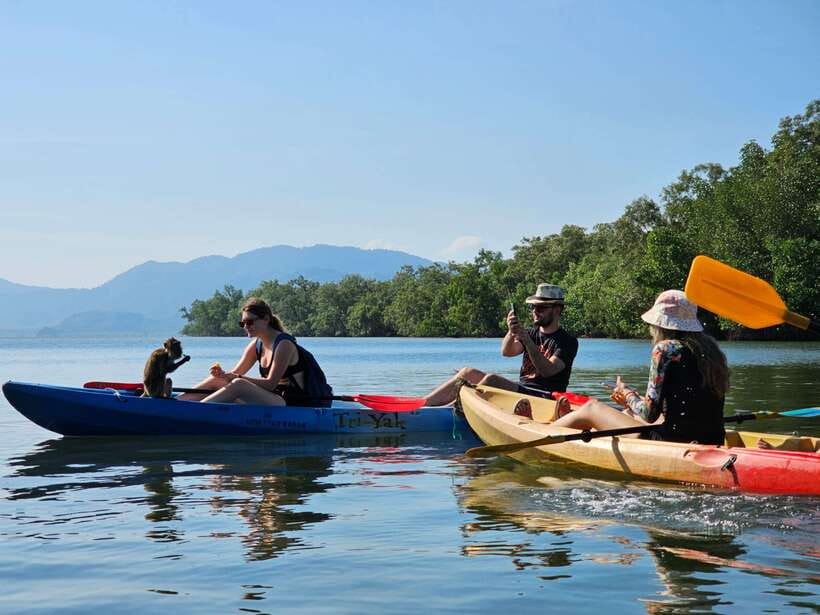Half Day Mangrove Forest (Morning or Afternoon) - Choosing between a kayak and a longtail boat