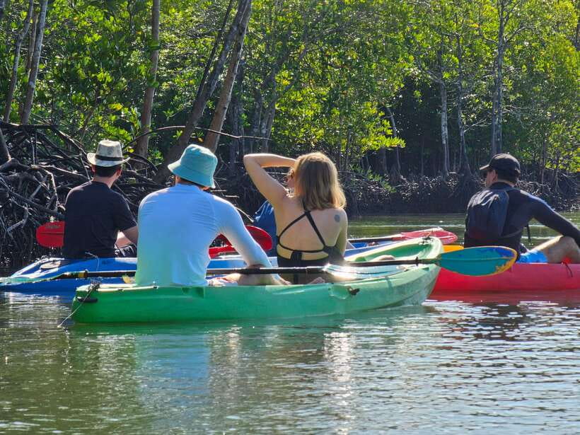 Half Day Mangrove Forest (Morning or Afternoon) - What the two-hour water route offers