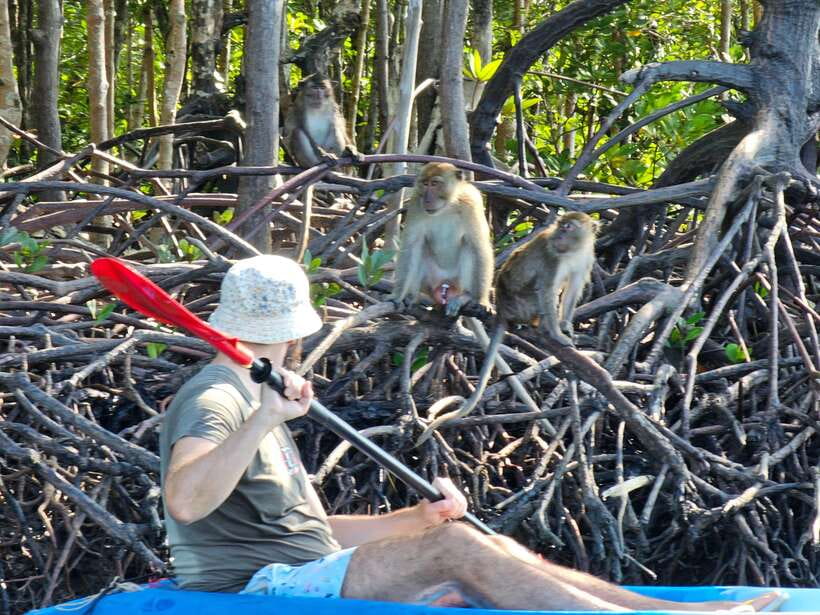 Half Day Mangrove Forest (Morning or Afternoon) - The final hour at the pier and village