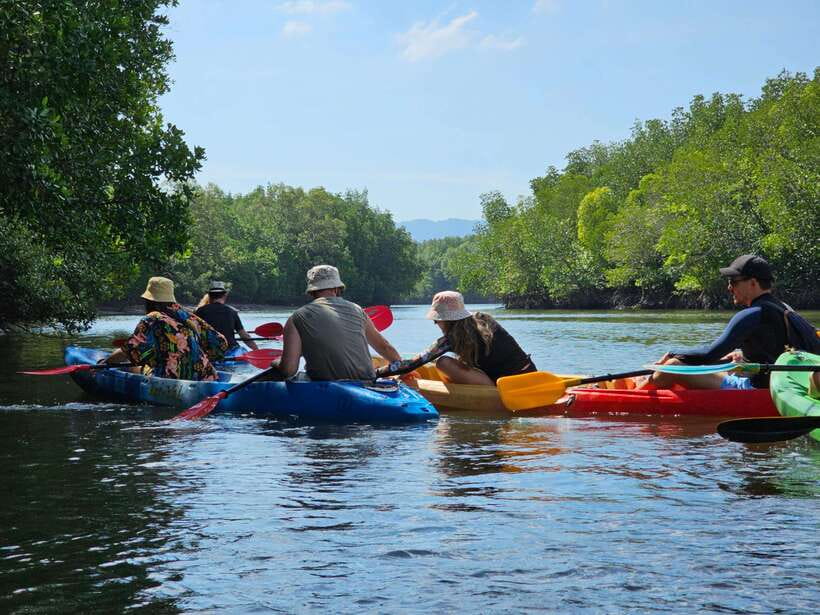 Half Day Mangrove Forest (Morning or Afternoon) - Who will enjoy this outing most?