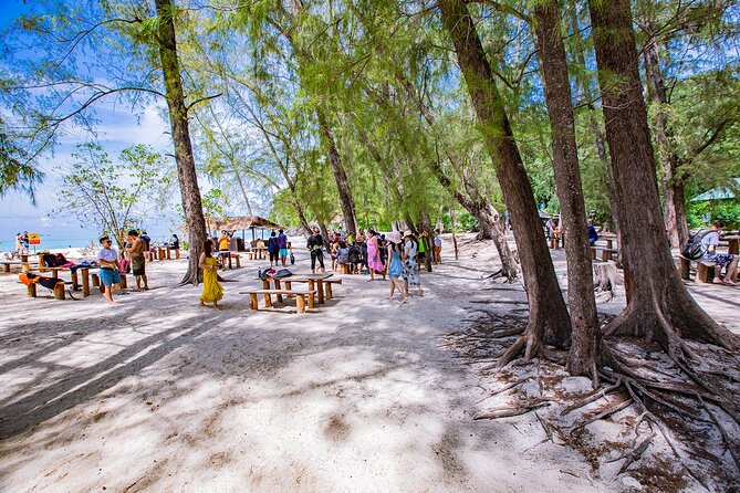 Half-Day Morning Bamboo Island Tour from Phi Phi by Longtail Boat - Shark Point and the chance to spot blacktip reef sharks