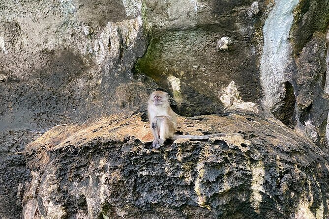 Half Day Tour Around Phi Phi Islands By Private Longtail Boat From Phi Phi - What is included, and what should you bring?