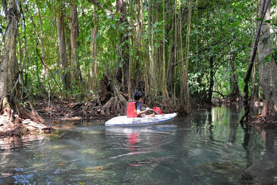 Kayaking and swiming klongrood - Why Khlong Nam Sai feels different from a beach day