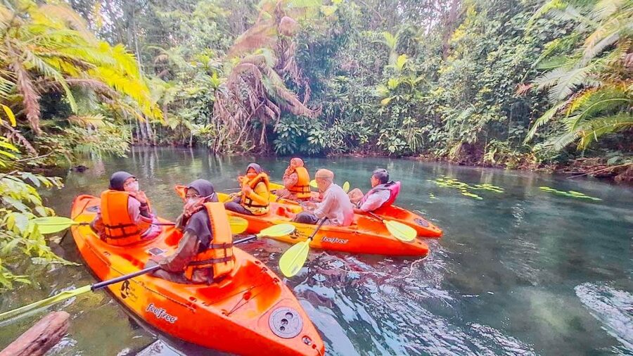 Kayaking and swiming klongrood - Paddling through trees and quiet water