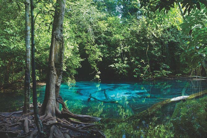 Kayaking in Ao Thalane - Discover the Mangrove life - Why Ao Thalane is worth leaving the beach for