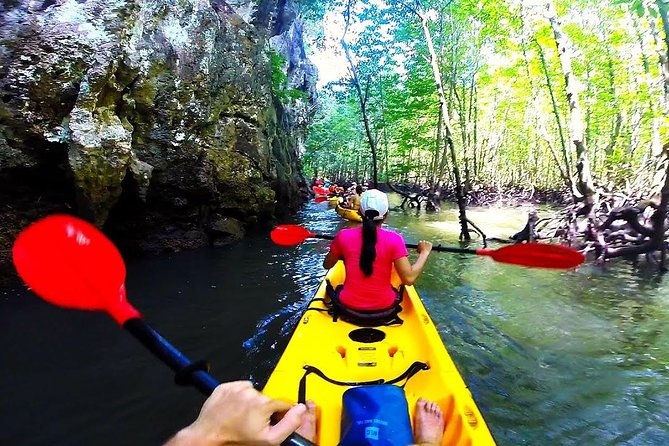 Kayaking in Ao Thalane - Discover the Mangrove life - Thapom Klong Song Nam, where fresh and salt water meet
