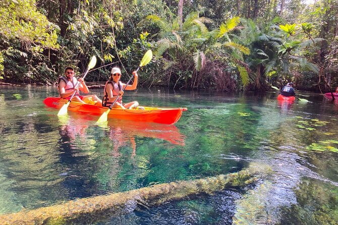 Kayaking Klongroot-Klongnamsai - Why Khlong Nam Sai is worth your time