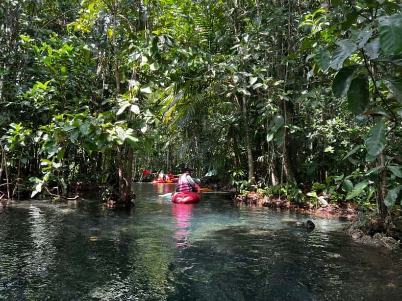 Klong Rud Kayaking with Hotel Transfer - Key points to know before booking