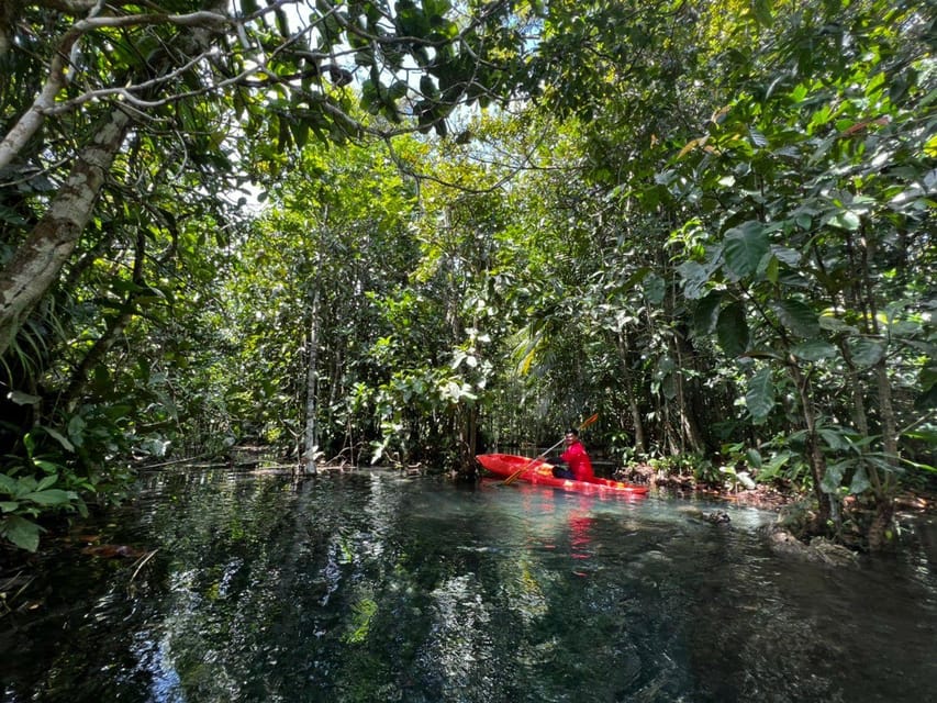 Klong Rud Kayaking with Hotel Transfer - Timing, weather, and what to pack