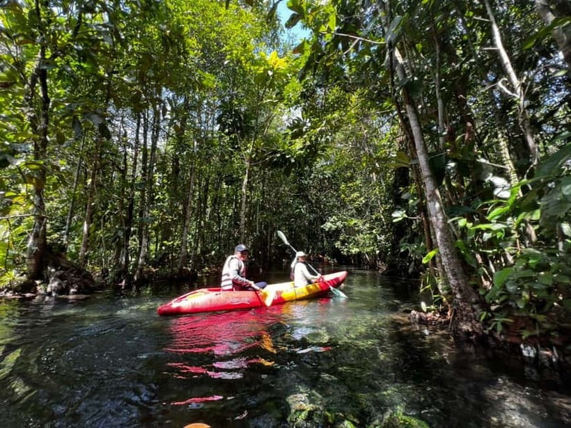 Klong Rud Kayaking with Hotel Transfer - Paddling through the forest-lined lagoon