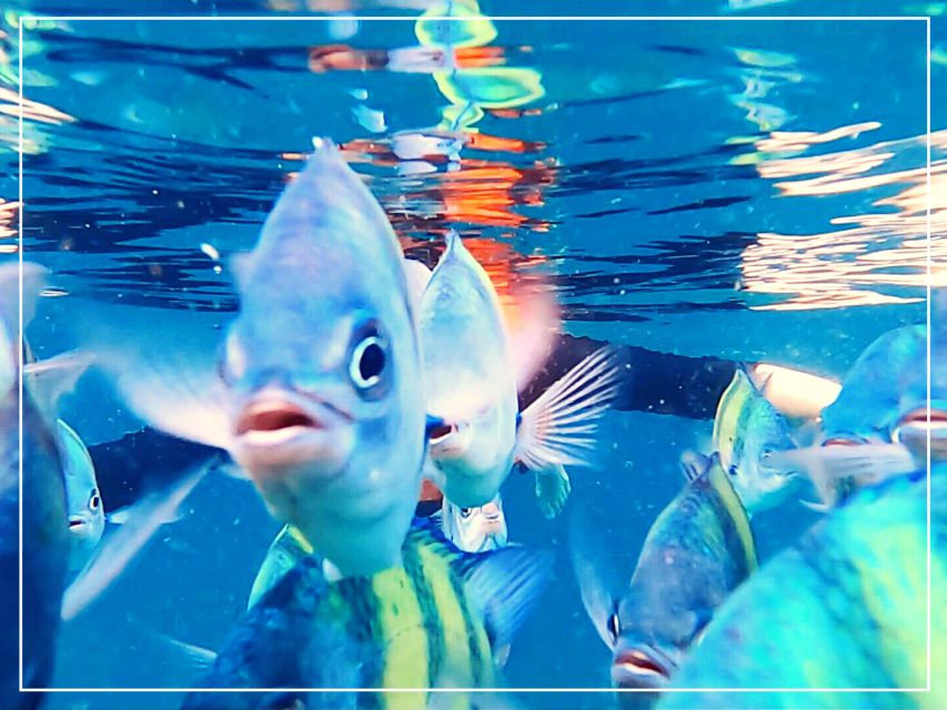 Ko Lanta: 4 Islands Snorkeling Tour by Longtail Boat - Longtail boat comfort and group size