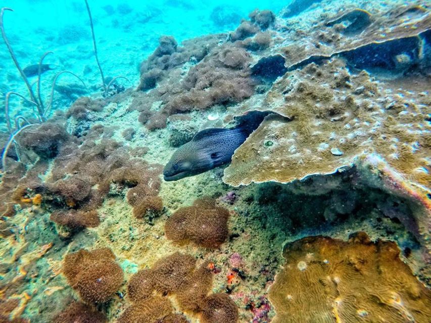 Ko Lanta: 4 Islands Snorkeling Tour by Longtail Boat - Morning pickups from Koh Lanta Yai