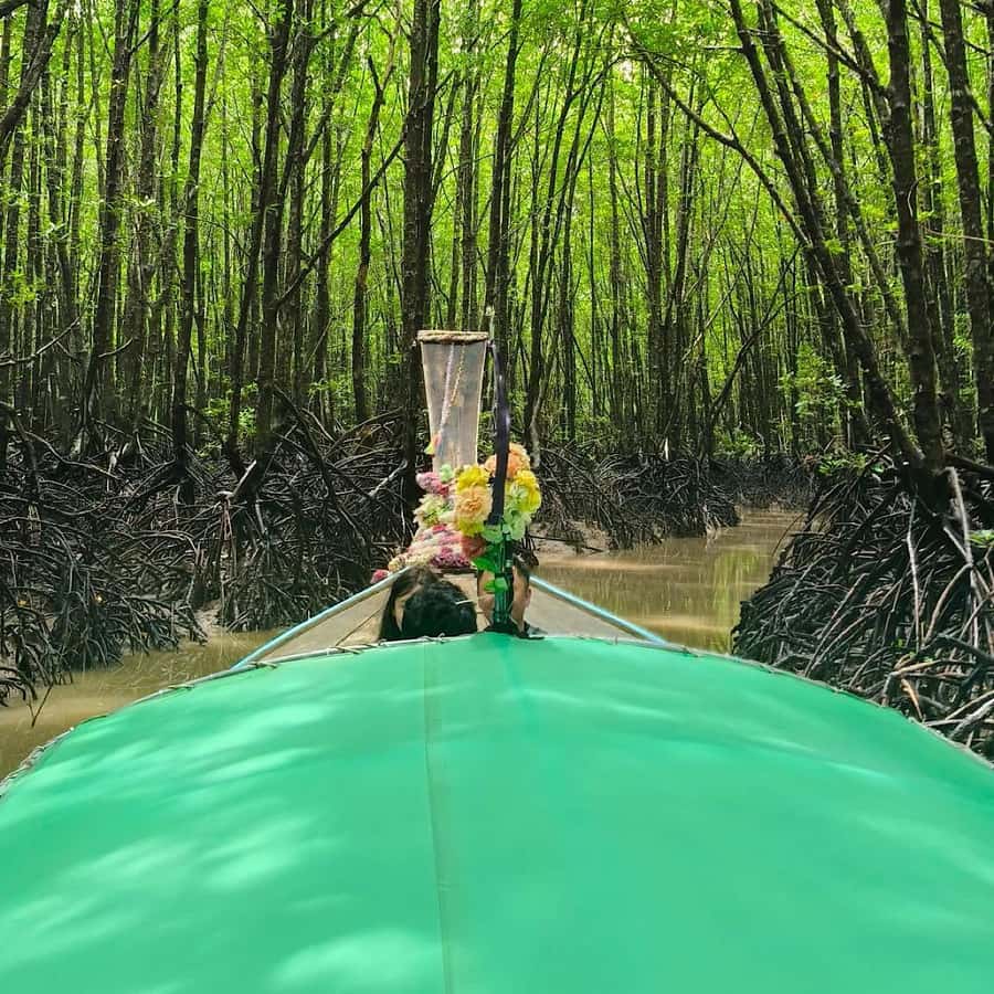 Ko Lanta: EXPLORE MANGROVE TOUR BY LONGTAIL BOAT WITH LUNCH - What makes the wildlife worth watching