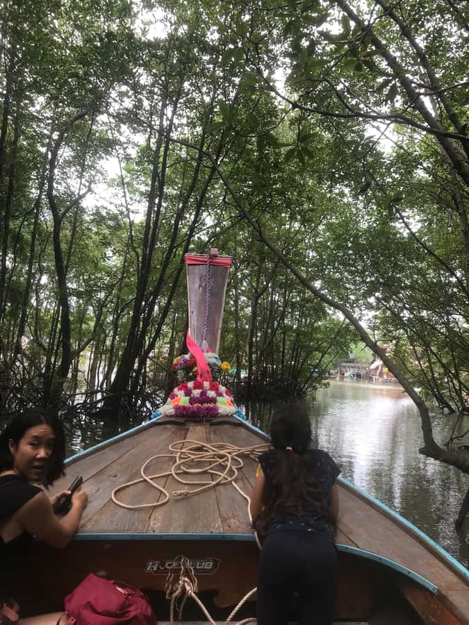 Ko Lanta: EXPLORE MANGROVE TOUR BY LONGTAIL BOAT WITH LUNCH - The longtail boat through the mangrove channels