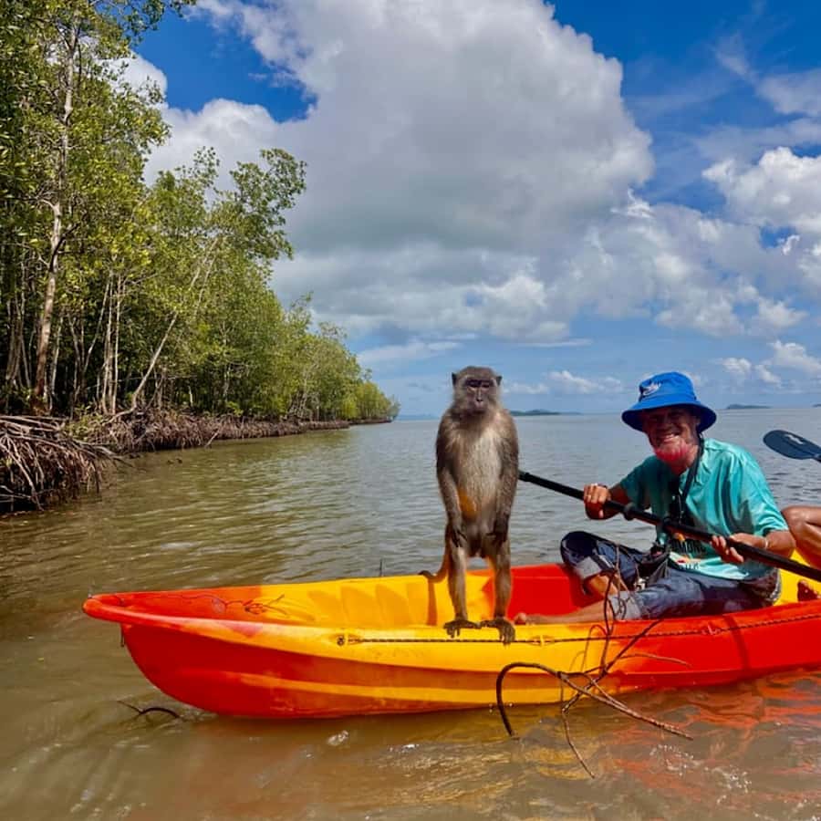 Ko Lanta: HALF DAY EXPLORE MANGROVE KAYAKING TOUR AND LUNCH - Key points at a glance