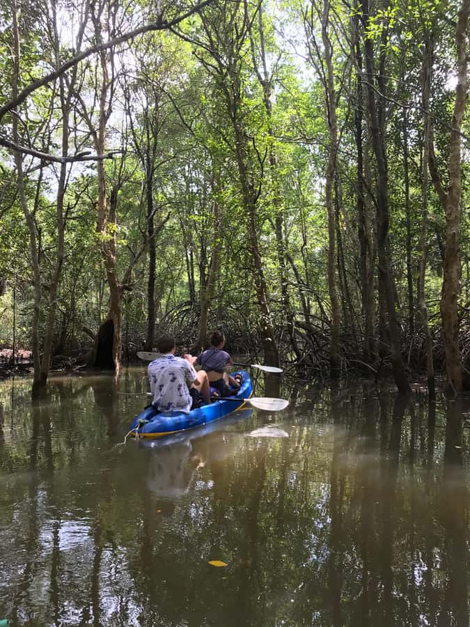 Ko Lanta: HALF DAY EXPLORE MANGROVE KAYAKING TOUR AND LUNCH - Monkeys, mudskippers, and fiddler crabs