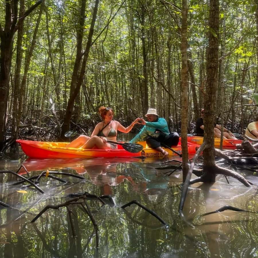 Ko Lanta: HALF DAY EXPLORE MANGROVE KAYAKING TOUR AND LUNCH - From your resort to Tung Yee Peng Pier