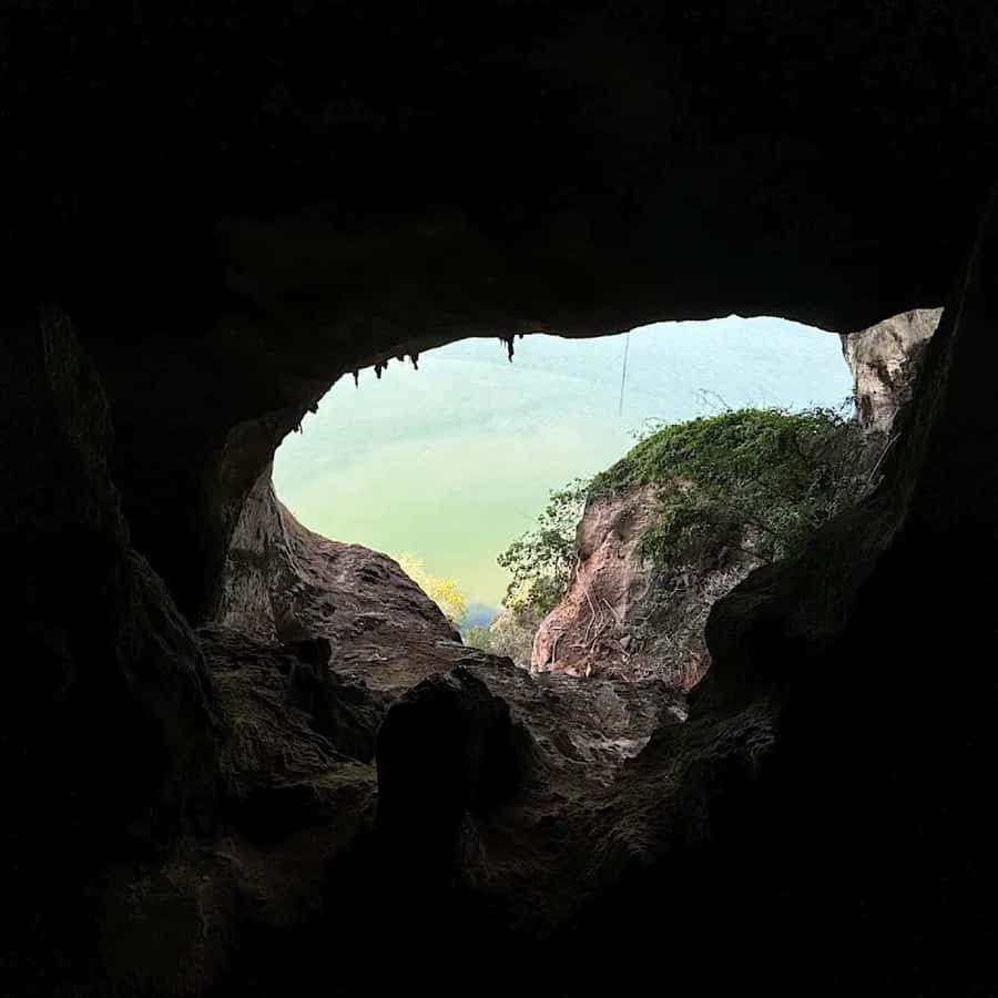 Ko Lanta: Half-Day Kayaking Koh Phee & Koh Talabeng 2 Caves - The mangrove boat ride and its small wildlife