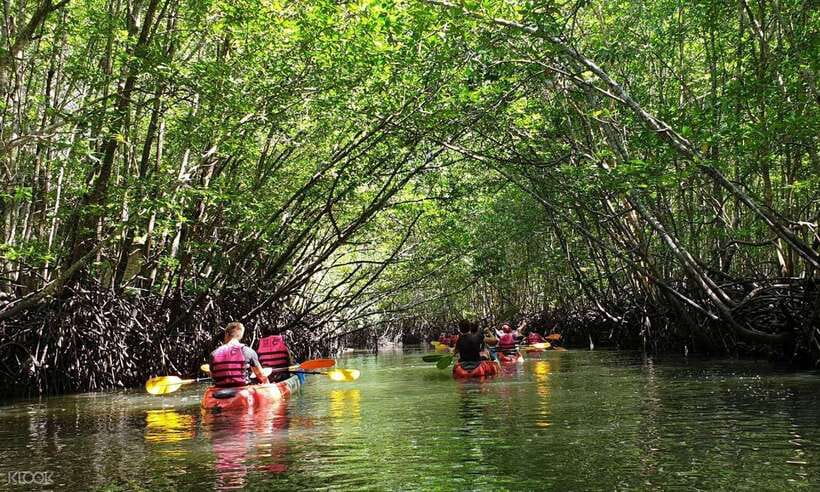 Ko Lanta: Half-Day Mangrove Kayaking Tour with Lunch - A quiet start at Tung Yee Peng Pier