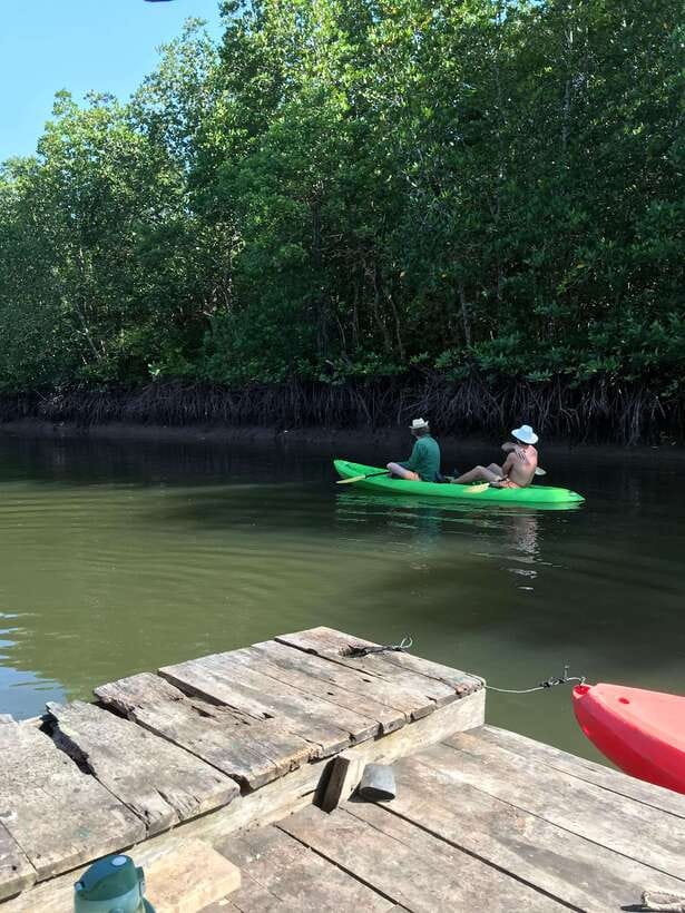 Ko Lanta: Half-Day Mangrove Kayaking Tour with Lunch - Meeting the mangrove monkeys