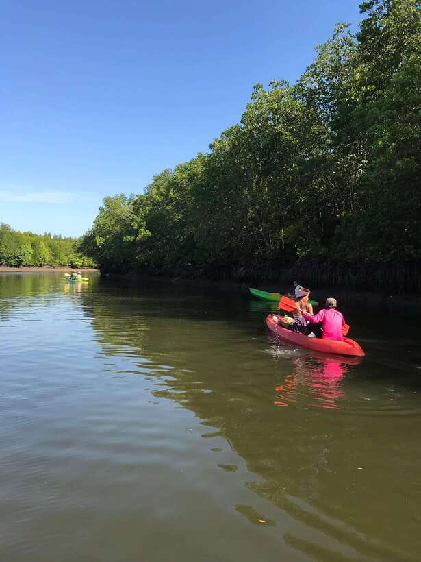 Ko Lanta: Half-Day Mangrove Kayaking Tour with Lunch - Weather, tides, and what you may actually see