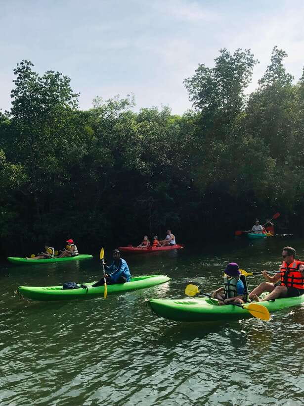 Ko Lanta: Half-Day Mangrove Kayaking Tour with Lunch - Who will enjoy this Ko Lanta kayak tour