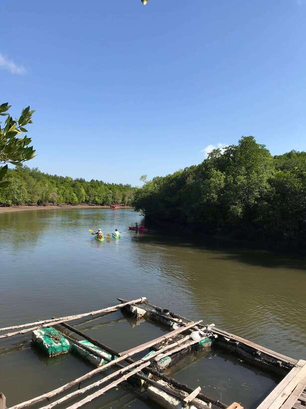 Ko Lanta: Half-Day Mangrove Kayaking Tour with Lunch - Booking details worth keeping handy