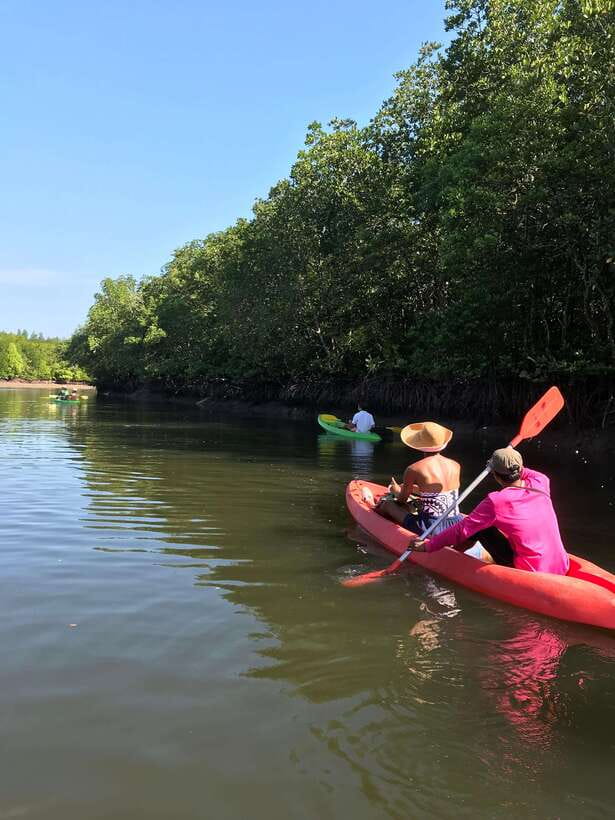 Ko Lanta: Half-Day Mangrove Kayaking Tour with Lunch - Paddling through Ban Thung Yee Peng