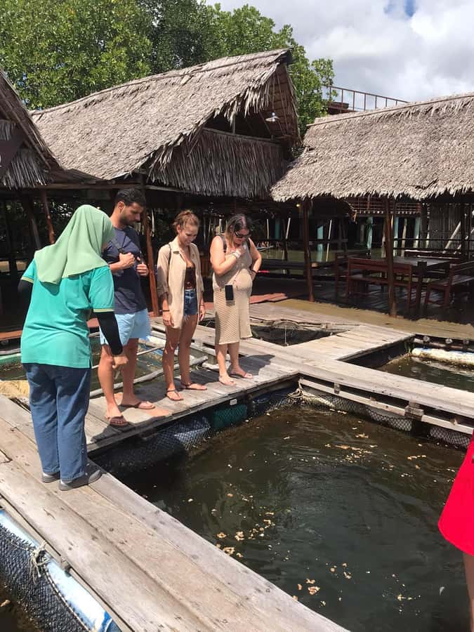 Ko Lanta: Half Day Tour Mangrove Boat Trip With Lunch - Guide quality and an important safety note